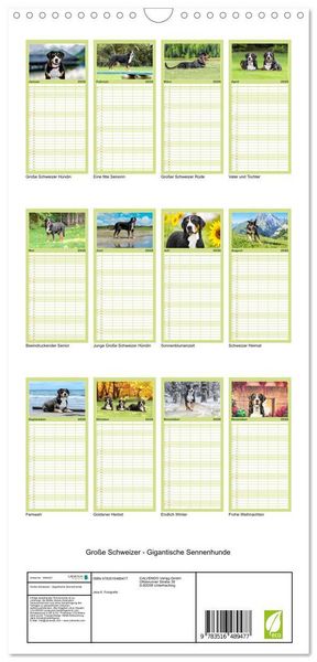 Produktbild: Familienplaner 2026 - Gro&szlig;e Schweizer - Gigantische Sennenhunde mit 5 Spalten (Wandkalender, 21 x 45 cm) CALVENDO