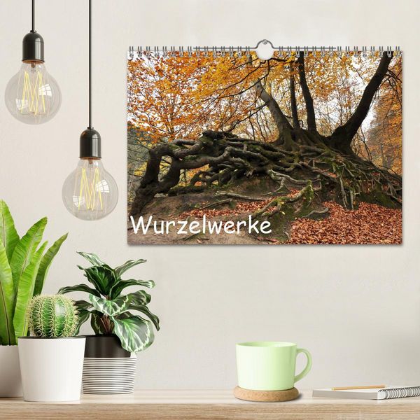 Produktbild: Wurzelwerke (Wandkalender 2026 DIN A4 quer), CALVENDO Monatskalender