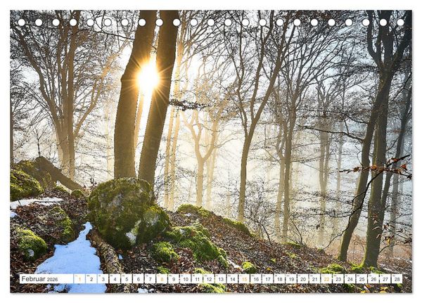 Produktbild: B&auml;ume im Altm&uuml;hltal (Tischkalender 2026 DIN A5 quer), CALVENDO Monatskalender