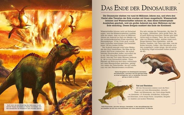 Produktbild: Das gro&szlig;e Dinosaurierbuch