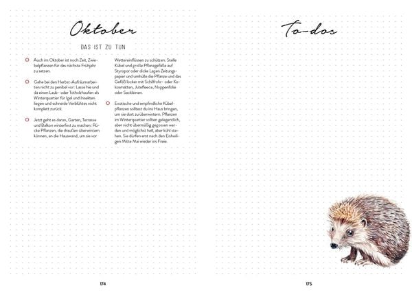 Produktbild: Bienengl&uuml;ck im Garten &ndash; Das illustrierte Gartenbuch