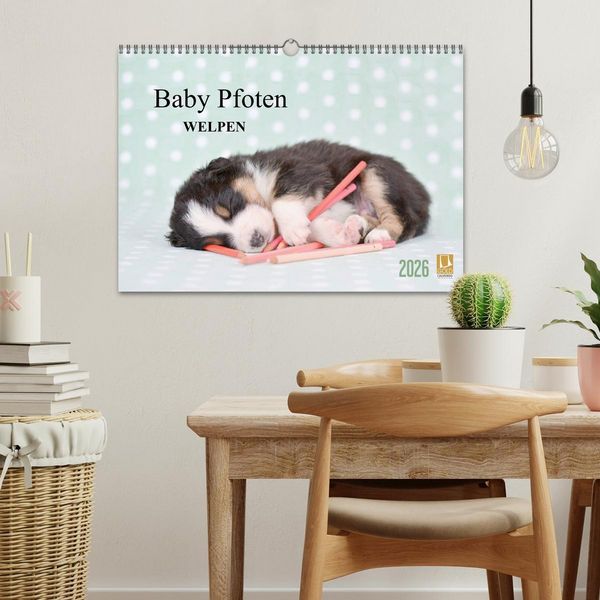 Produktbild: Baby Pfoten (Wandkalender 2026 DIN A3 quer), CALVENDO Monatskalender