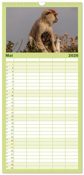 Produktbild: Familienplaner 2026 - Uganda - ein Land der Vielfalt mit 5 Spalten (Wandkalender, 21 x 45 cm) CALVENDO