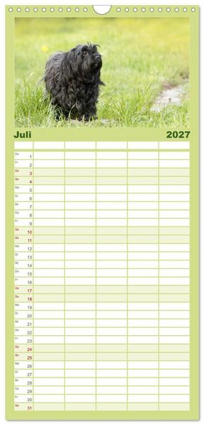 Produktbild: Familienplaner 2027 - Havaneser - Wirbelwinde aus Kuba mit 5 Spalten (Wandkalender, 21 x 45 cm) CALVENDO