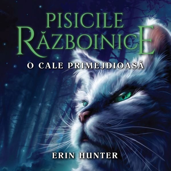 Produktbild: O cale primejdioasă