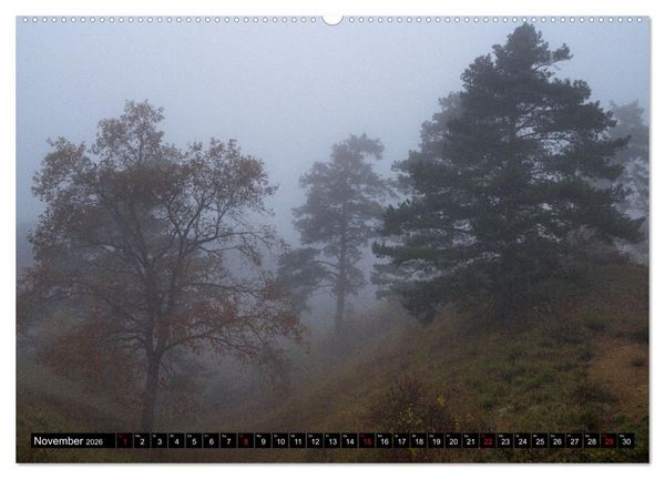 Produktbild: Herbst rund um den Bodensee (Wandkalender 2026 DIN A2 quer), CALVENDO Monatskalender