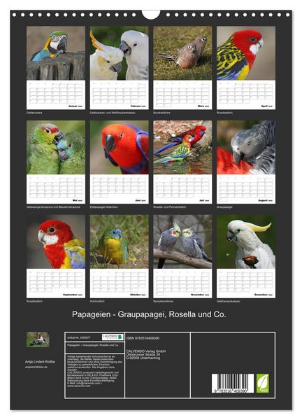 Produktbild: Papageien - Graupapagei, Rosella und Co. (Wandkalender 2026 DIN A3 hoch), CALVENDO Monatskalender