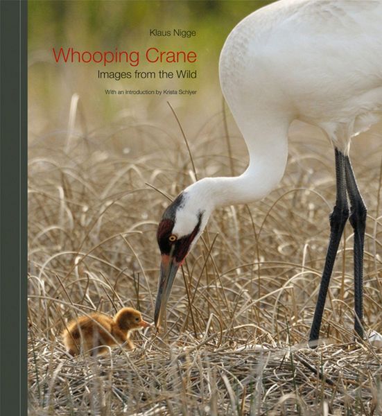 Produktbild: Whooping Crane