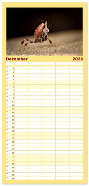 Produktbild: Familienplaner 2026 - Im Bann der Mantis mit 5 Spalten (Wandkalender, 21 x 45 cm) CALVENDO