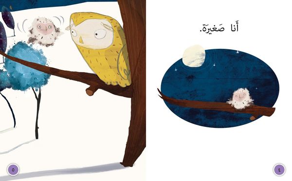 Produktbild: Collins Big Cat Arabic - Oh Owl!: Level 4