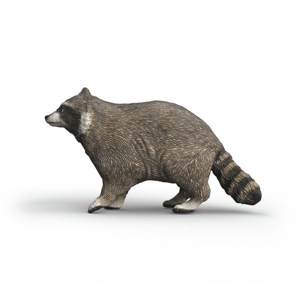 Produktbild: schleich&reg; 14937 Waschb&auml;r