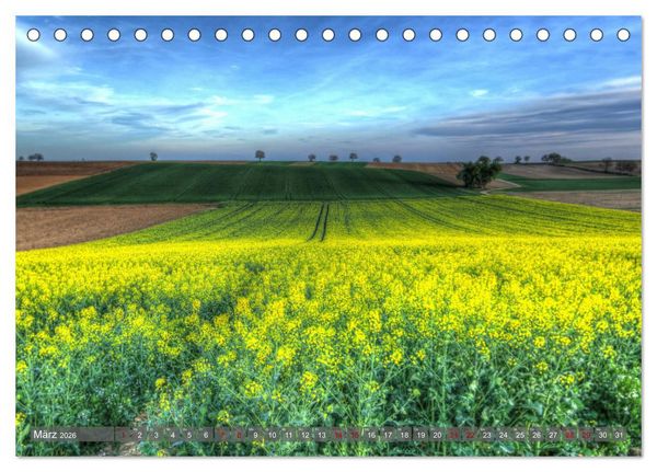 Produktbild: Weinland Pfalz - Region S&uuml;dliche Weinstra&szlig;e (Tischkalender 2026 DIN A5 quer), CALVENDO Monatskalender