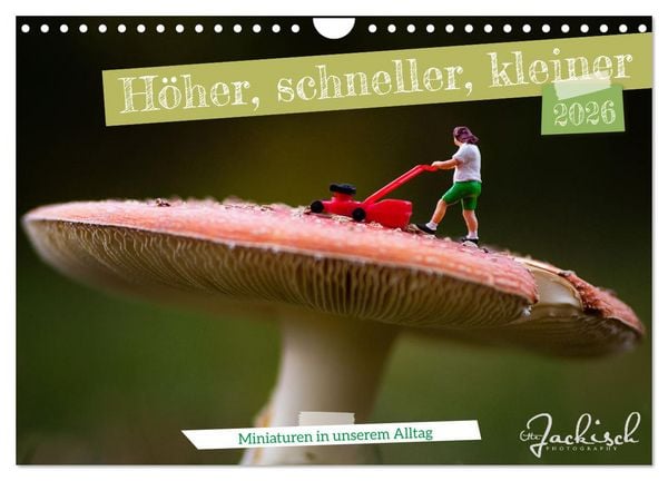 Produktbild: H&ouml;her, schneller, kleiner - Miniaturen in unserem Alltag (Wandkalender 2026 DIN A4 quer), CALVENDO Monatskalender
