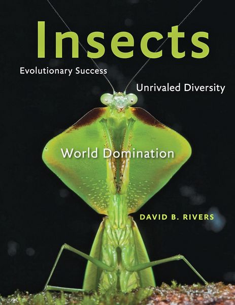 Produktbild: Insects