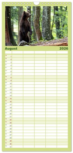 Produktbild: Familienplaner 2026 - Lautlos in den W&auml;ldern Sloweniens mit 5 Spalten (Wandkalender, 21 x 45 cm) CALVENDO