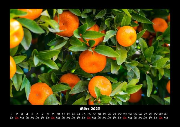 Produktbild: Obstkalender 2025 Fotokalender DIN A3