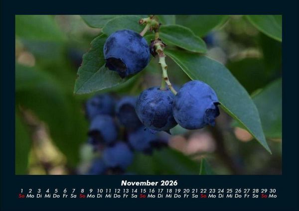 Produktbild: Obstkalender 2026 Fotokalender DIN A4