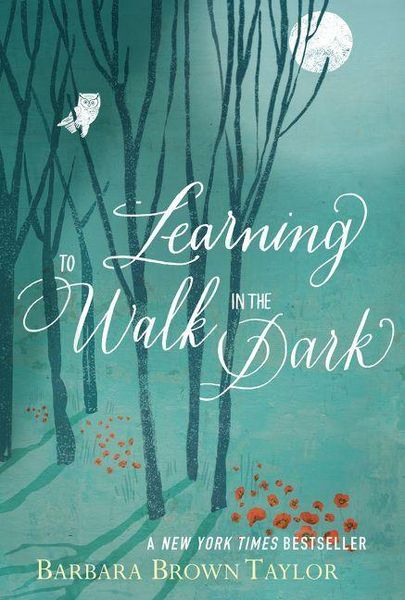 Produktbild: Learning to Walk in the Dark