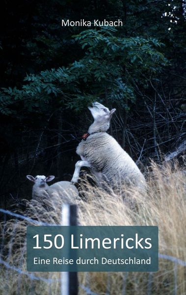 Produktbild: 150 Limericks