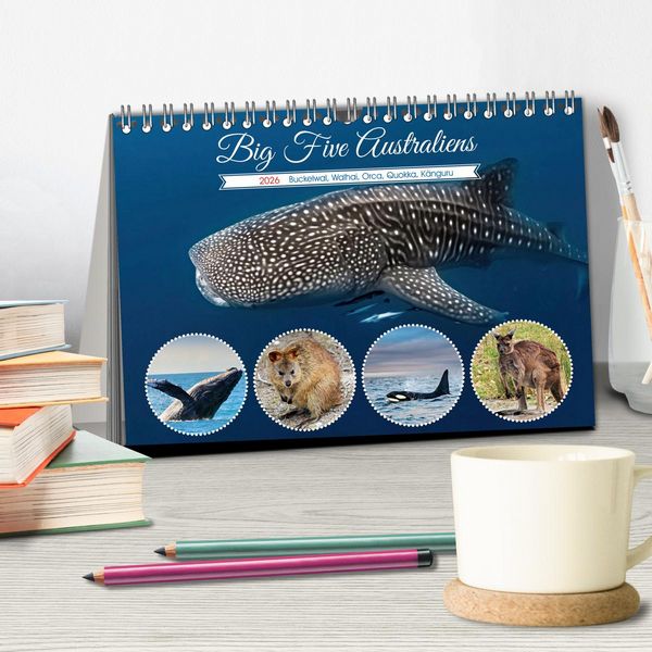 Produktbild: Big Five Australiens Buckelwal, Walhai, Orca, Quokka,K&auml;nguru (Tischkalender 2026 DIN A5 quer), CALVENDO Monatskalender