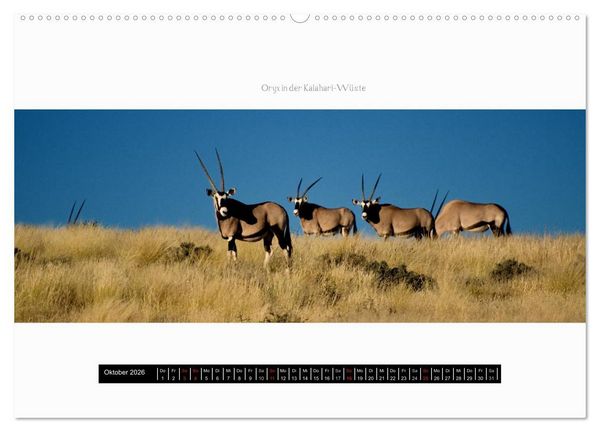 Produktbild: Namibia - Panoramen (Wandkalender 2026 DIN A2 quer), CALVENDO Monatskalender