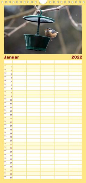 Produktbild: Familienplaner Gartenv&ouml;gel (Wandkalender 2022 , 21 cm x 45 cm, hoch)