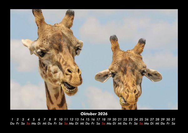 Produktbild: Der Tierkalender 2026 Fotokalender DIN A3