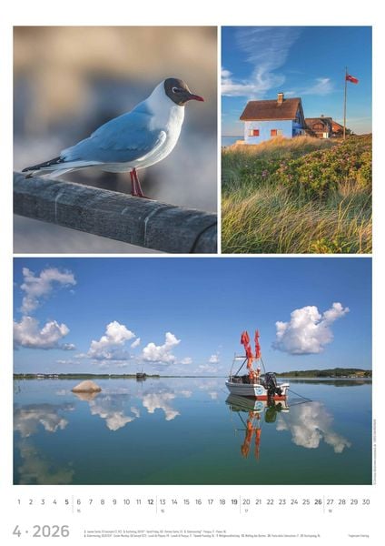 Produktbild: Strandgeflüster - Momente am Meer 2026 - Bildkalender A3 (29,7x42 cm) - mit Feiertagen - Triplets - drei Bilder pro Monat - Naturkalender - Wandplaner