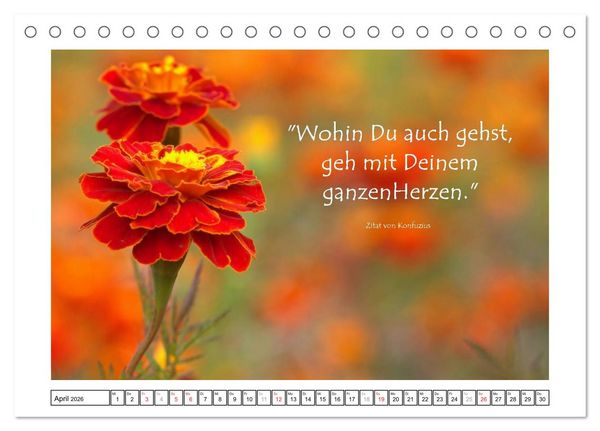 Produktbild: Zitate - Sammlung (Tischkalender 2026 DIN A5 quer), CALVENDO Monatskalender