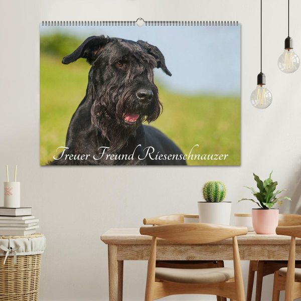 Produktbild: Treuer Freund Riesenschnauzer (Wandkalender 2026 DIN A2 quer), CALVENDO Monatskalender