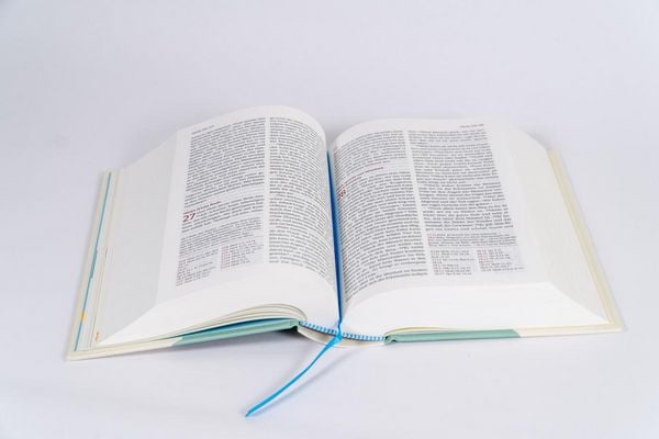 Neues Leben. Die Bibel für Kids