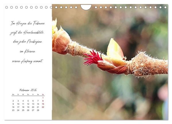 Produktbild: Der Atem der Stille - Achtsame Augenblicke in der Natur (Wandkalender 2026 DIN A4 quer), CALVENDO Monatskalender