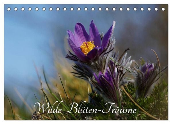 Produktbild: Wilde Bl&uuml;ten-Tr&auml;ume (Tischkalender 2026 DIN A5 quer), CALVENDO Monatskalender