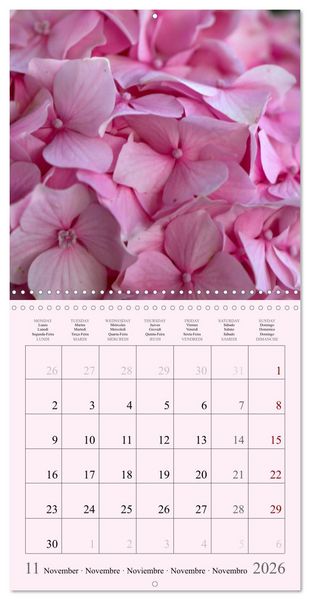 Produktbild: Les saisons en fleurs (Calendrier mural carr&eacute; 2026 30x30 cm) Calendrier double avec une page pour vos prises de notes