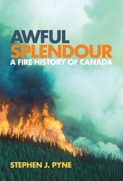 Produktbild: Awful Splendour