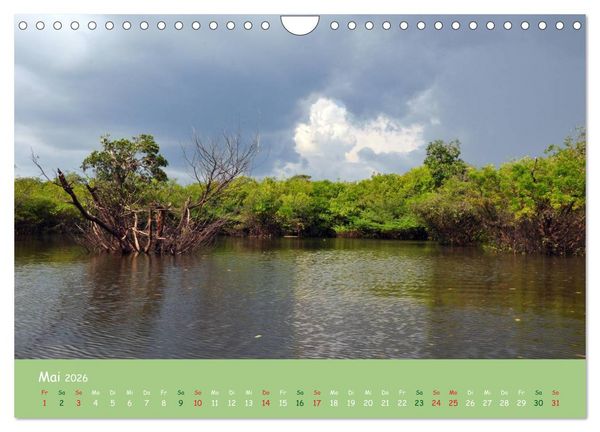 Produktbild: Am Amazonas (Wandkalender 2026 DIN A4 quer), CALVENDO Monatskalender