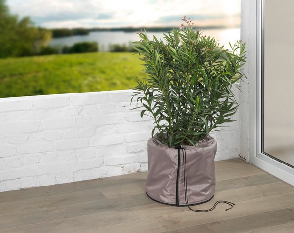 Produktbild: Thermo Pflanztopf-Sack, 45 x 55 cm, gegen Bodenfrost, wasserabweisend