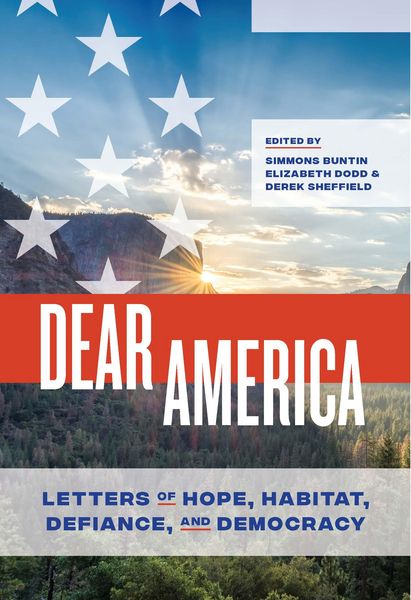 Produktbild: Dear America