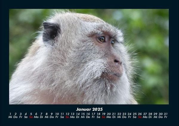 Produktbild: Bali 2025 Fotokalender DIN A4