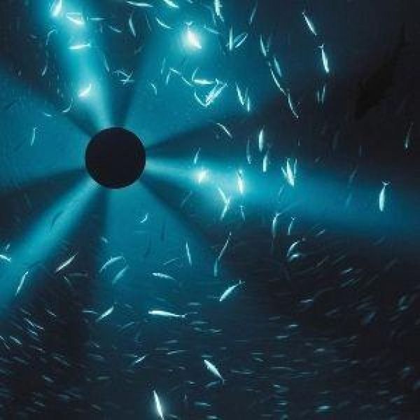Produktbild: Midnight Zone