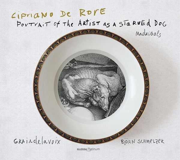 Produktbild: IL Furore E IL Pianto: Madrigals