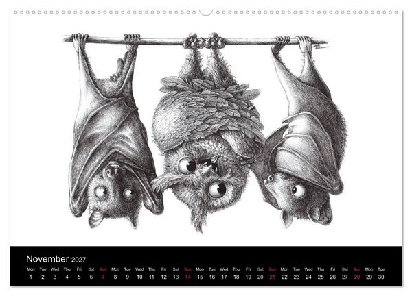 Produktbild: owls & friends 2027 (High Quality Premium Wall Calendar 2027 DIN A2 landscape),CALVENDO 12 Month Wall Calendar
