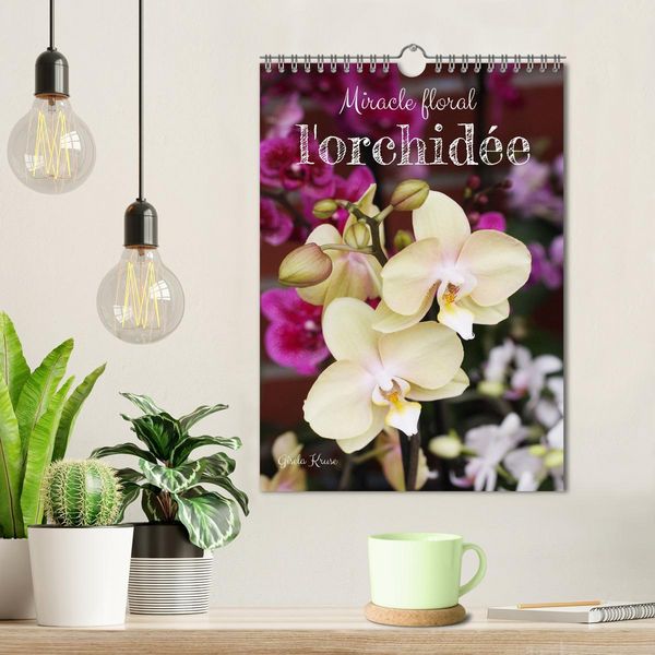 Produktbild: Miracle floral l'orchid&eacute;e (Calendrier mural 2026 DIN A4 horizontal), CALVENDO calendrier mensuel