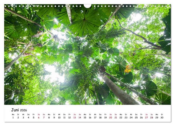 Produktbild: Australiens Sch&ouml;nheit (Wandkalender 2026 DIN A3 quer), CALVENDO Monatskalender