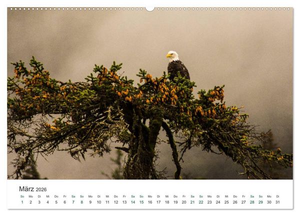 Produktbild: Into the Wild - Kanada und Alaska (hochwertiger Premium Wandkalender 2026 DIN A2 quer), Kunstdruck in Hochglanz