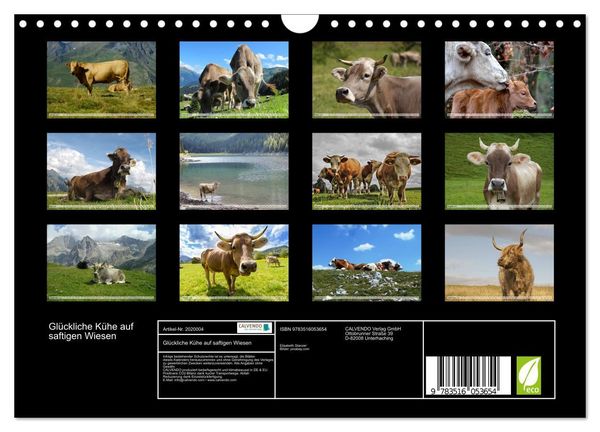 Produktbild: Gl&uuml;ckliche K&uuml;he auf saftigen Wiesen (Wandkalender 2026 DIN A4 quer), CALVENDO Monatskalender