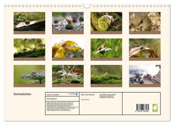 Produktbild: Schneckchen (Wandkalender 2026 DIN A3 quer), CALVENDO Monatskalender