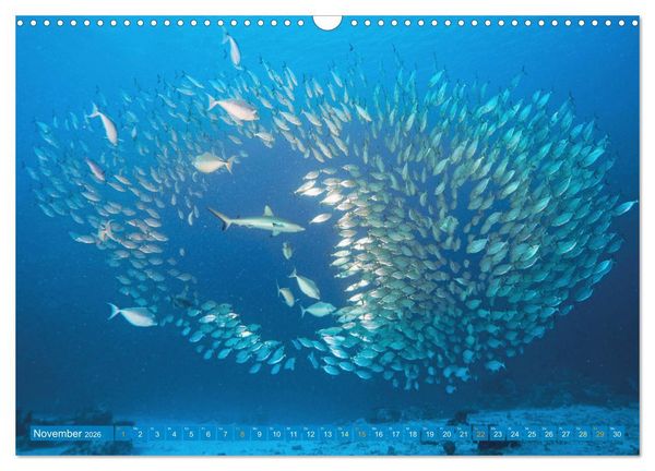 Produktbild: Planet Wasser: Von wegen Planet Erde (Wandkalender 2026 DIN A3 quer), CALVENDO Monatskalender