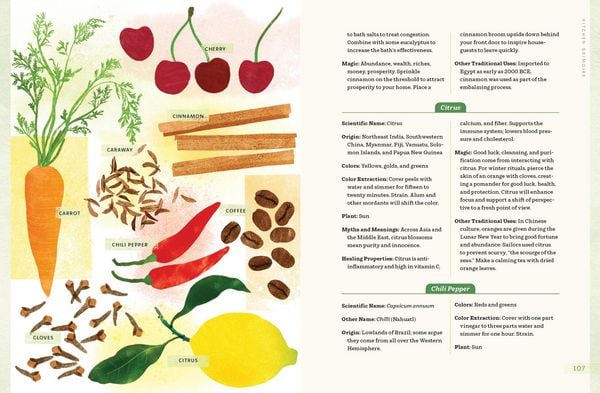 Produktbild: Plant Magic at Home