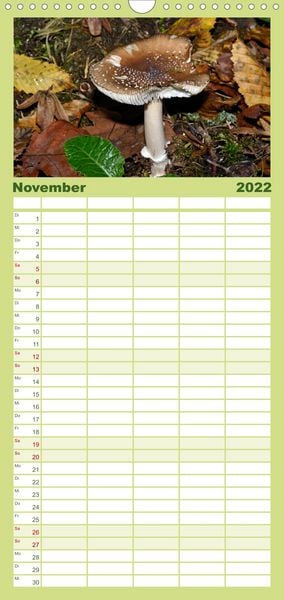 Produktbild: Familienplaner Pilze, Pilze (Wandkalender 2022 , 21 cm x 45 cm, hoch)